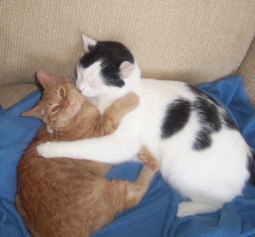 I'll clean your face!