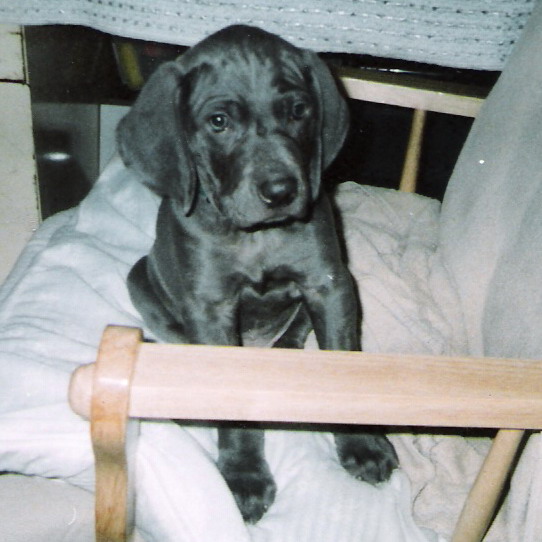 This is my chair!