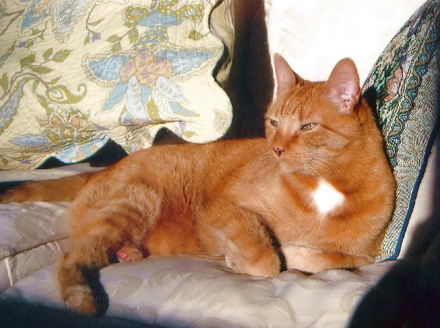 Sparky Bundy