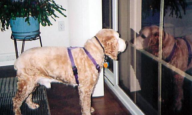 Hey, there's Bubba!!