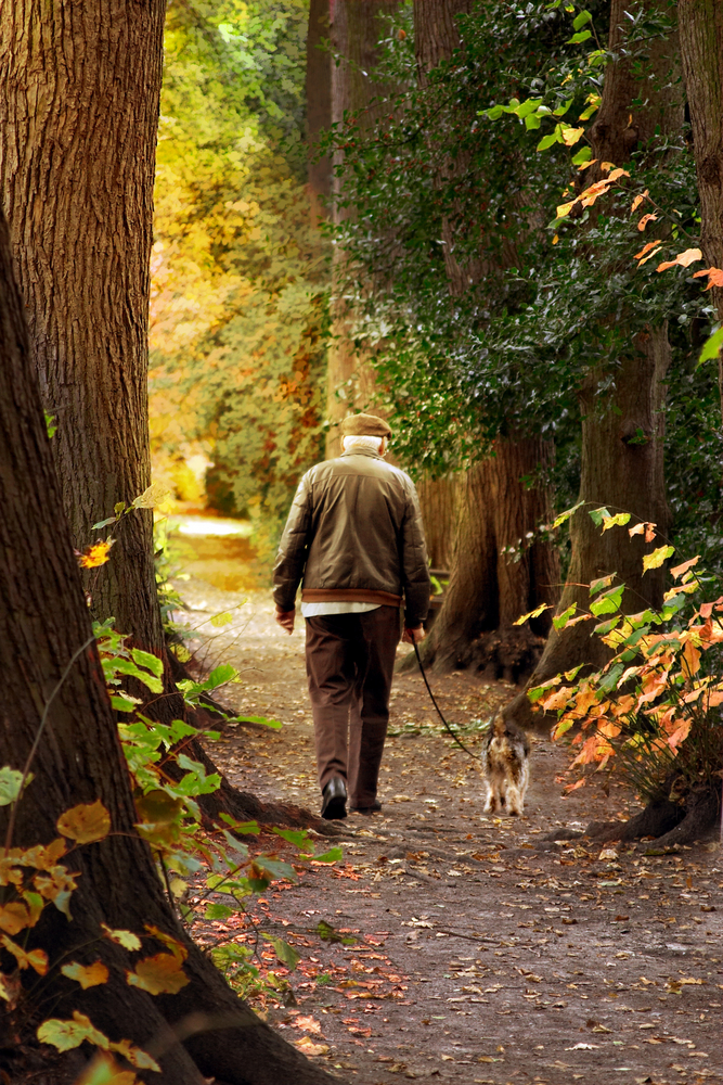 Man walking with dog in woods