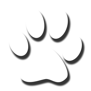 White Paw Icon